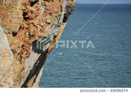 Seagull flying between the rocks of a cliff 89096874
