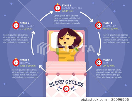 Sleep cycle infographics, vector education diagram, poster 89096996