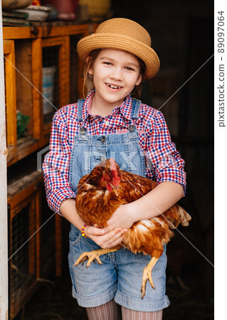 a little girl holds a red hen in a chicken coop. laying hen. 89097064