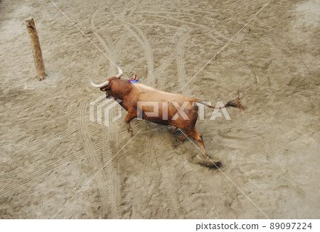 Brave bull going out to a town square. 89097224