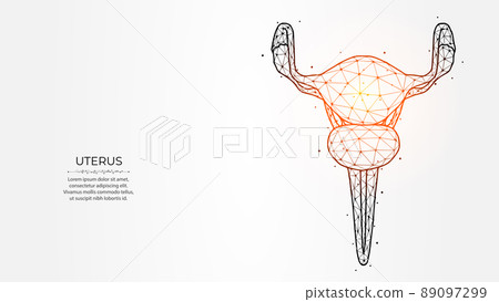 Abstract polygonal uterus vector illustration on a light background. Female reproductive organ low poly design. Medical banner, template or background. Abstract polygonal uterus vector illustration on a light background. Female reproductive organ low poly design. Medical banner, template or background. 89097299