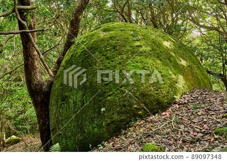 川平的巨石 89097348