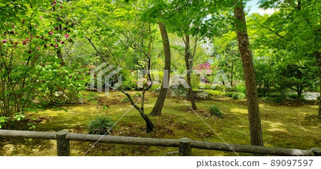 靖國神社日本庭園 靖國神社日本庭園 89097597
