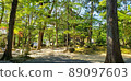 Japanese garden palace 89097603