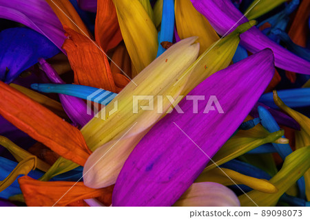 Bunch of colored daisy pedals piled together 89098073