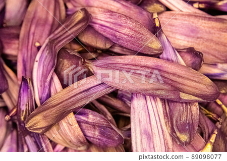 Purple daisy flower pedals piled together Purple daisy flower pedals piled together 89098077