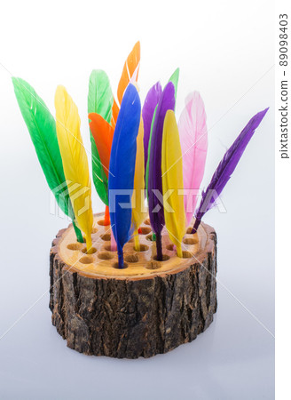 Collection of colored feathers on wooden log Collection of colored feathers on wooden log 89098403