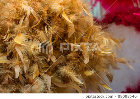 Beautiful bird feathers for decorative aims Beautiful bird feathers for decorative aims 89098540
