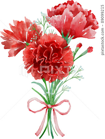 水彩康乃馨 水彩康乃馨 89099215