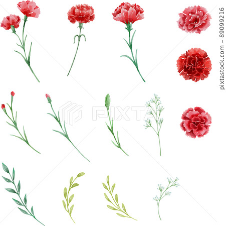 水彩康乃馨 水彩康乃馨 89099216