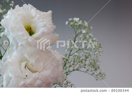 Bouquet of Eustoma grandiflorum and eustoma on a gray background Bouquet of Eustoma grandiflorum and eustoma on a gray background 89100344