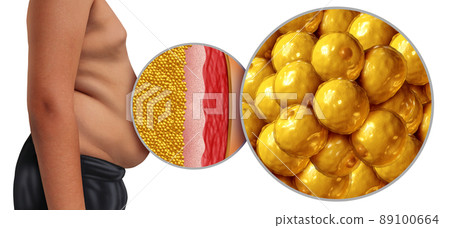 Obesity And Fat Cells 89100664