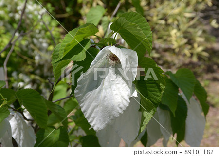 Handkerchief 89101182