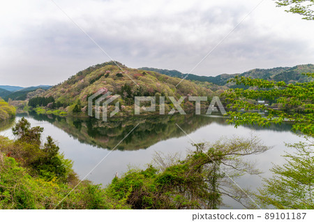 茨城縣北原市春天早晨的水沼大壩 89101187