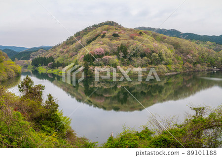 Mizunuma Dam on a spring morning in Kitaibaraki City, Ibaraki Prefecture Mizunuma Dam on a spring morning in Kitaibaraki City, Ibaraki Prefecture 89101188