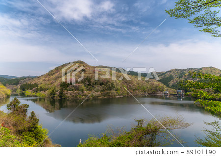 茨城縣北原市春天早晨的水沼大壩 茨城縣北原市春天早晨的水沼大壩 89101190