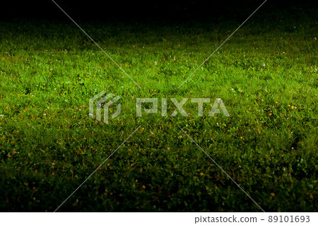 green lawn green lawn 89101693