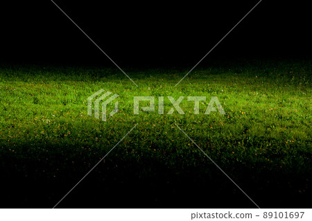 green lawn green lawn 89101697