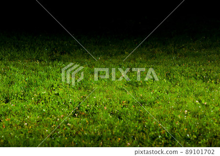 green lawn 89101702