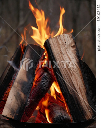 Bonfire Bonfire 89102481