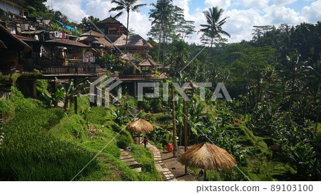 Popular marine resort where you can enjoy both the sea and mountains Bali Ubud, FINNS Beach Club Lovina Beach, 89103100