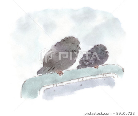 Watercolor illustration of two pigeons taking a nap while staying on the signboard 89103728