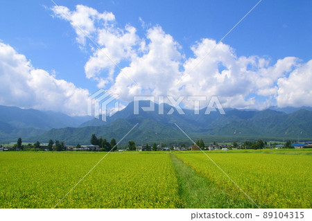 In 2019, the scenery of the train window from Matsumoto Station on the Oito Line to Hakuba Station In 2019, the scenery of the train window from Matsumoto Station on the Oito Line to Hakuba Station 89104315