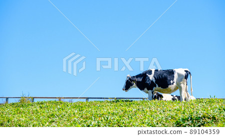 牧場 89104359