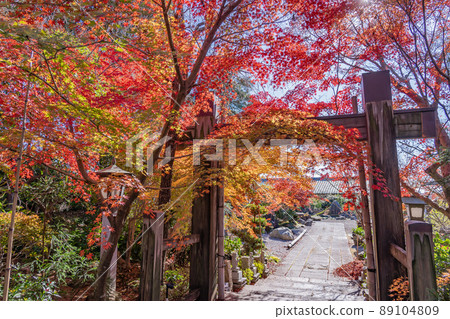 三重縣鈴鹿市,秋葉美麗的石藥師寺大門 三重縣鈴鹿市,秋葉美麗的石藥師寺大門 89104809