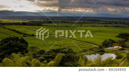 Sugar cane field and the majestic mountains at the Valle del Cauca region in Colombia Sugar cane field and the majestic mountains at the Valle del Cauca region in Colombia 89104950