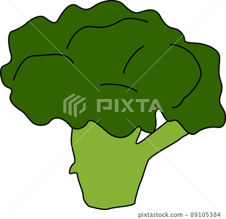 美味西蘭花的插圖素材 89105384