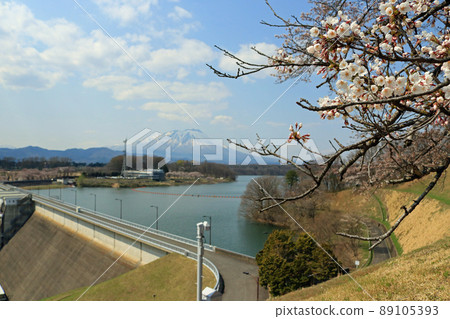 春天從十重田大壩看岩手山 89105393