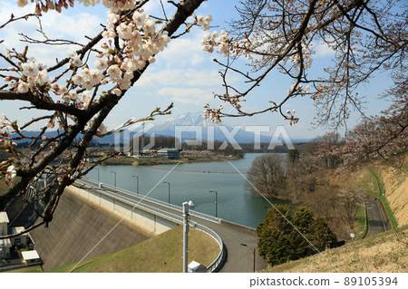 春天從十重田大壩看岩手山 89105394