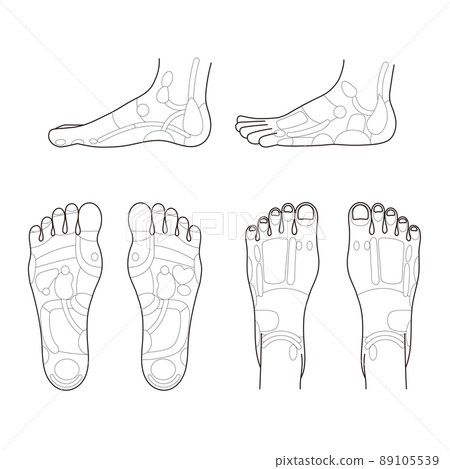 Monochrome illustration of the sole, instep, and side reflex zones 89105539