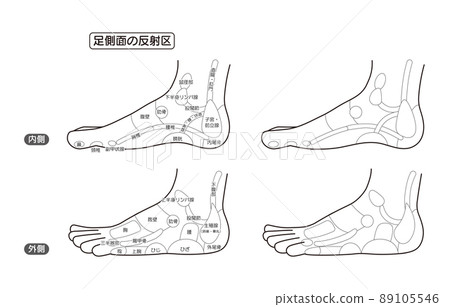 足側反射區和足穴單色圖解 89105546