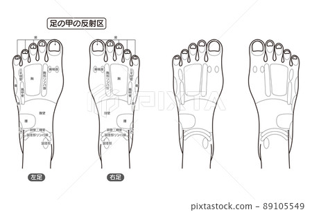 Monochrome illustration of the reflex zone of the instep and the acupuncture points 89105549