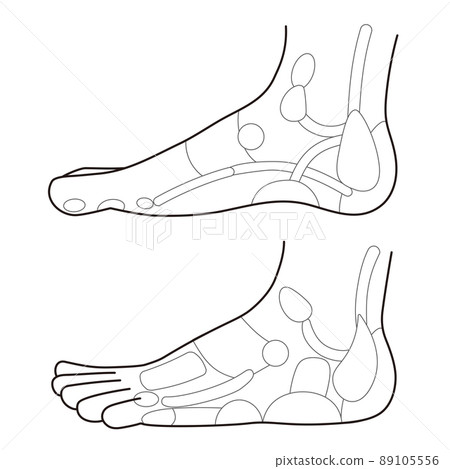 足側反射區和足穴單色圖解 89105556