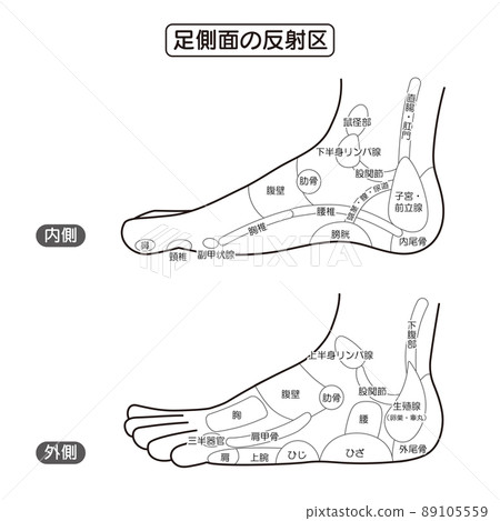 Monochrome illustrated illustration of the reflex zone and foot acupoint on the side of the foot 89105559