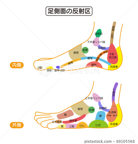 足側反射區/足穴圖解 89105568