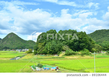 2021年山陽本線白市站到糸崎站的車窗風景 89106444