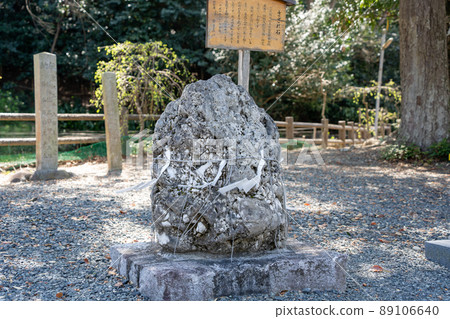 [Shizuoka Prefecture] Hamanasosha Shinmeigu Shrine 89106640