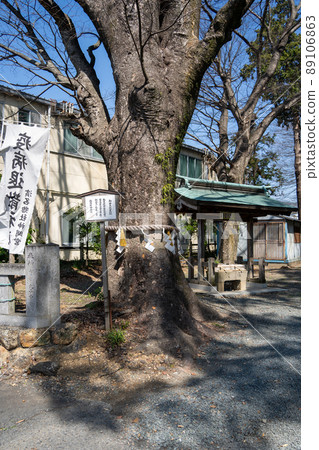 [靜岡縣]濱名社神明宮 89106863