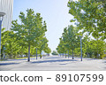 A green tree-lined road spreading in the blue sky for synthesis with the focus in the foreground 89107599