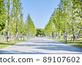 A green tree-lined road spreading in the blue sky for synthesis with the focus in the foreground 89107602