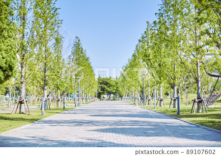 一條綠樹成蔭的道路在藍天蔓延,以前景為重點進行合成 一條綠樹成蔭的道路在藍天蔓延,以前景為重點進行合成 89107602