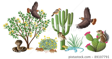 Many animals in the garden Many animals in the garden 89107791