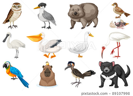 Different kinds of animals collection 89107998
