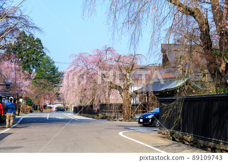 秋田縣角館市武林敷街的櫻花 89109743