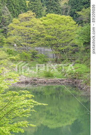 Waterfall, clear stream, fresh green, eco-image (Imadaki, Yurihama Town, Tottori Prefecture) 89109886