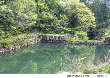 Waterfall, clear stream, fresh green, eco-image (Imadaki, Yurihama Town, Tottori Prefecture) 89109887